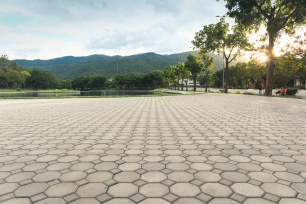 Best Residential Driveway Paver Services  in Moweaqua, IL